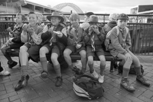 scouts by tim cole web