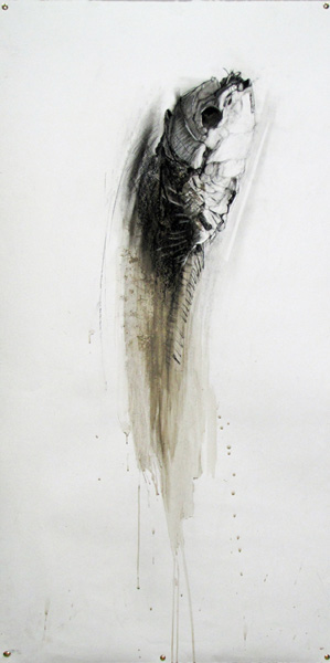 sally simpson mummified fish drawing 01 lr