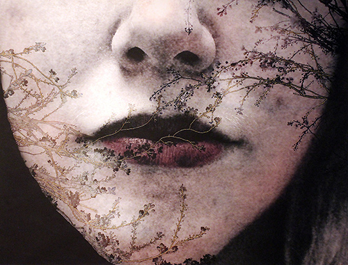 Casey_Patricia_Murmur_Murmur #01